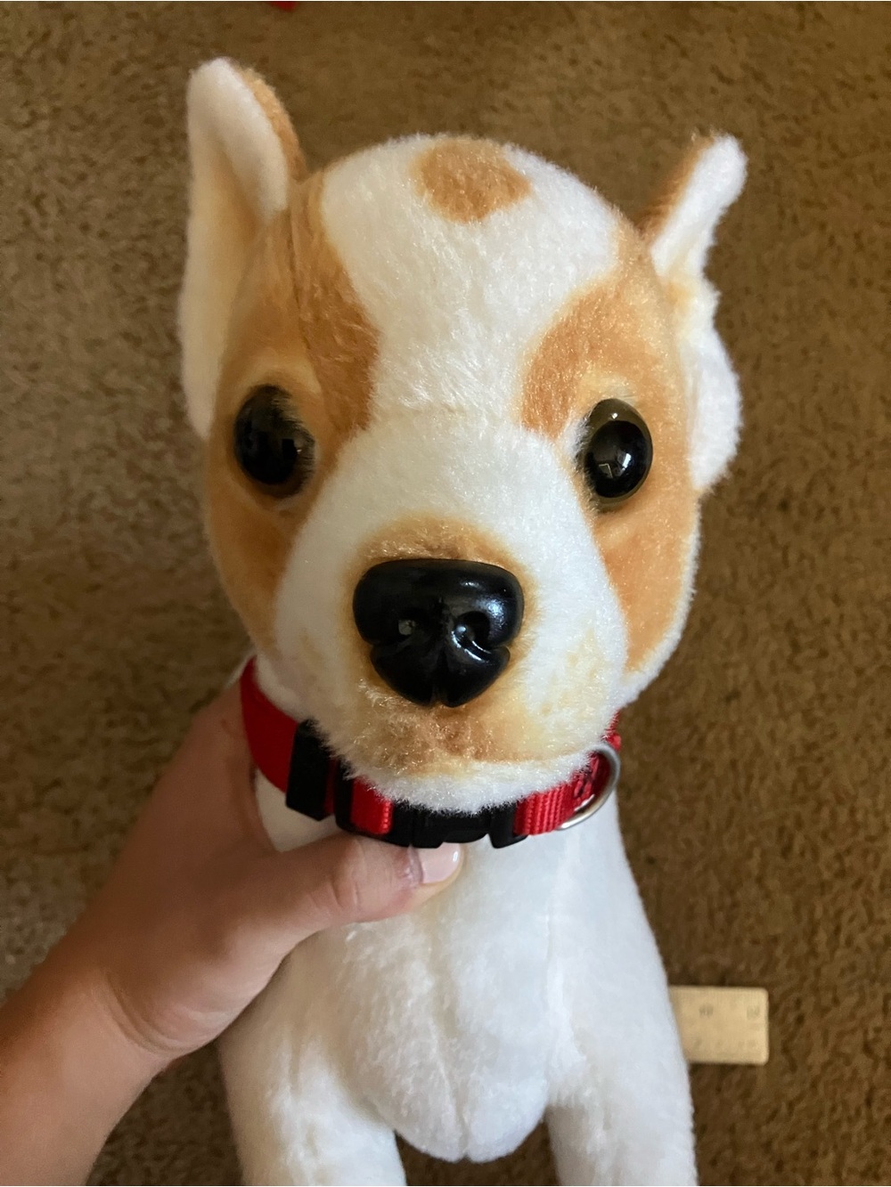 Tiger Tale Toys, Wired = Posable, >12”, Tan & White Puppy Plush, Collar Included